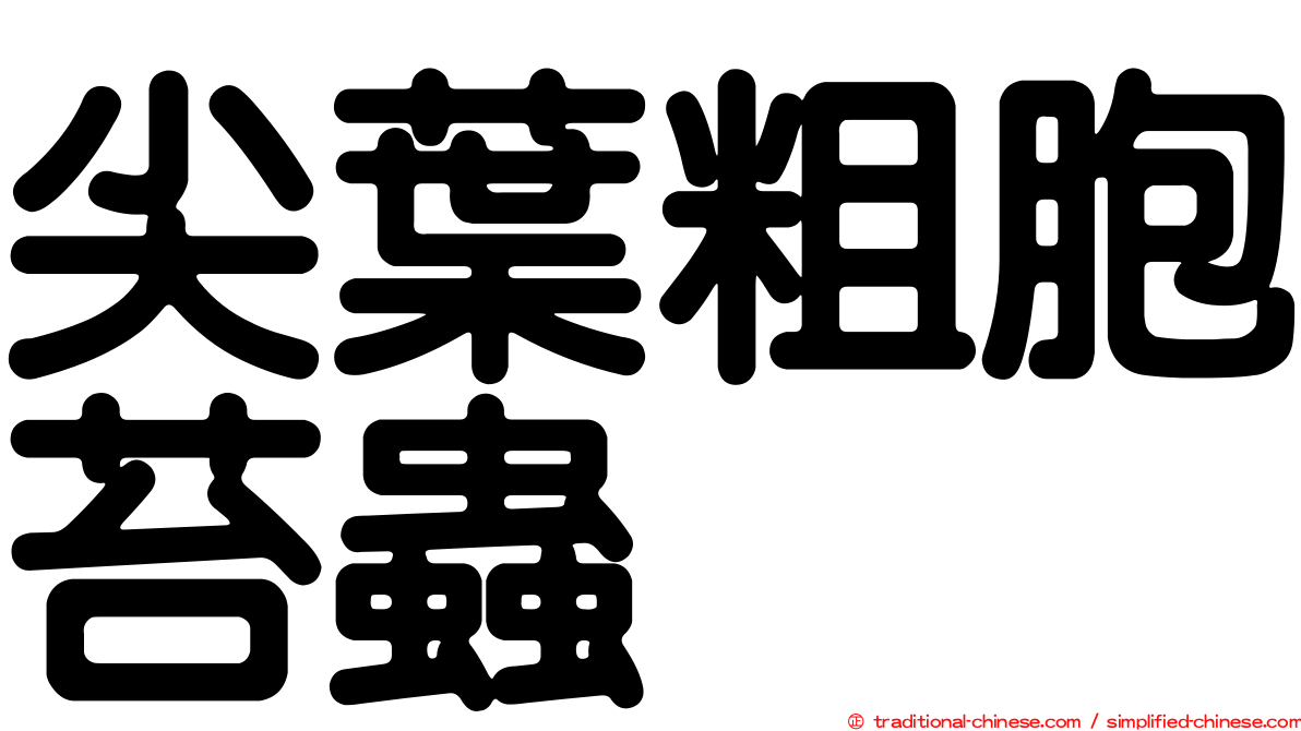 尖葉粗胞苔蟲
