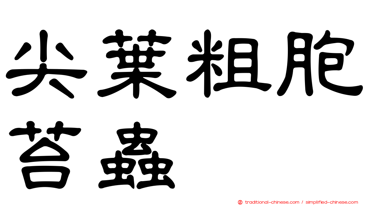 尖葉粗胞苔蟲