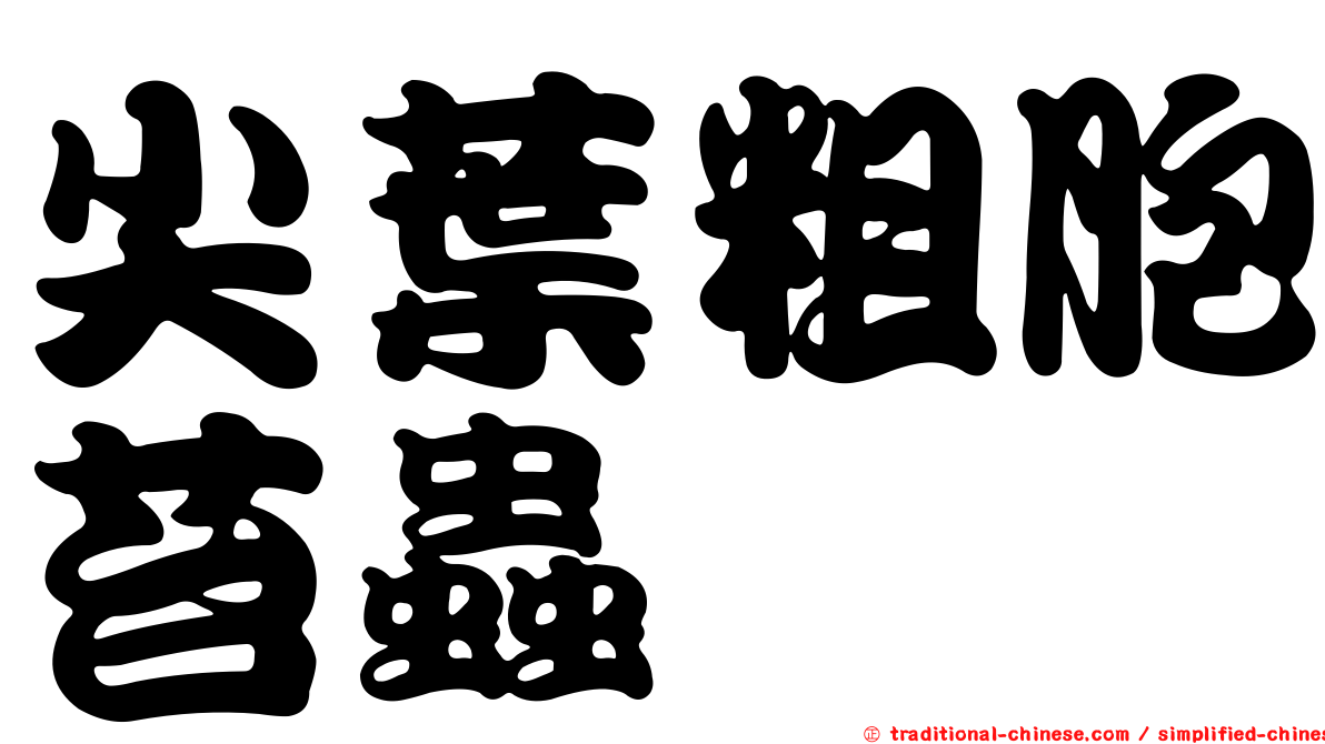 尖葉粗胞苔蟲