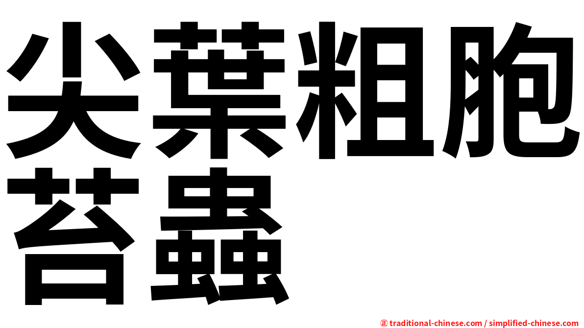 尖葉粗胞苔蟲