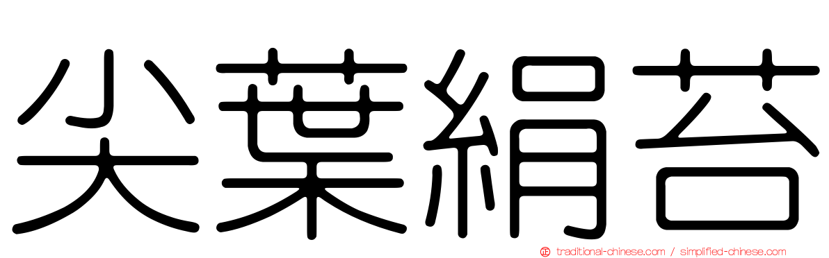 尖葉絹苔