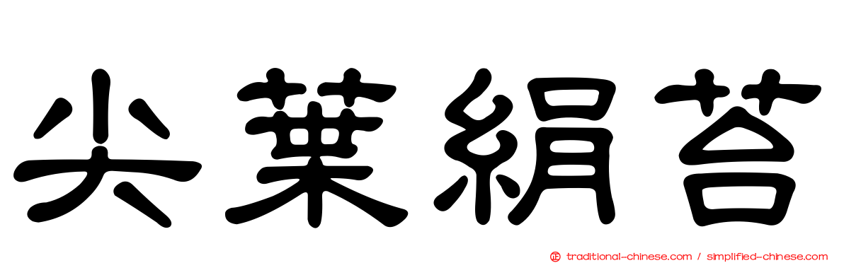 尖葉絹苔