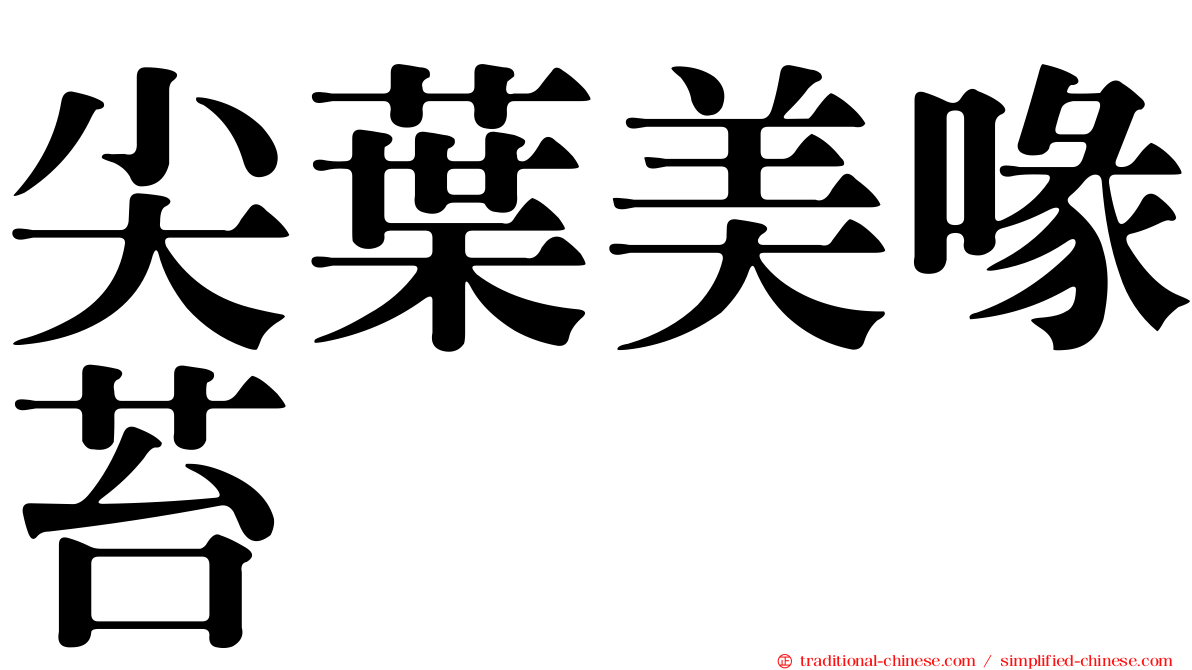 尖葉美喙苔