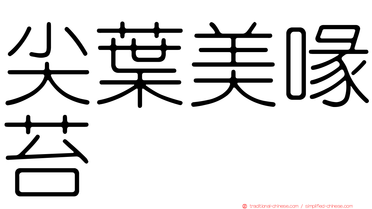 尖葉美喙苔