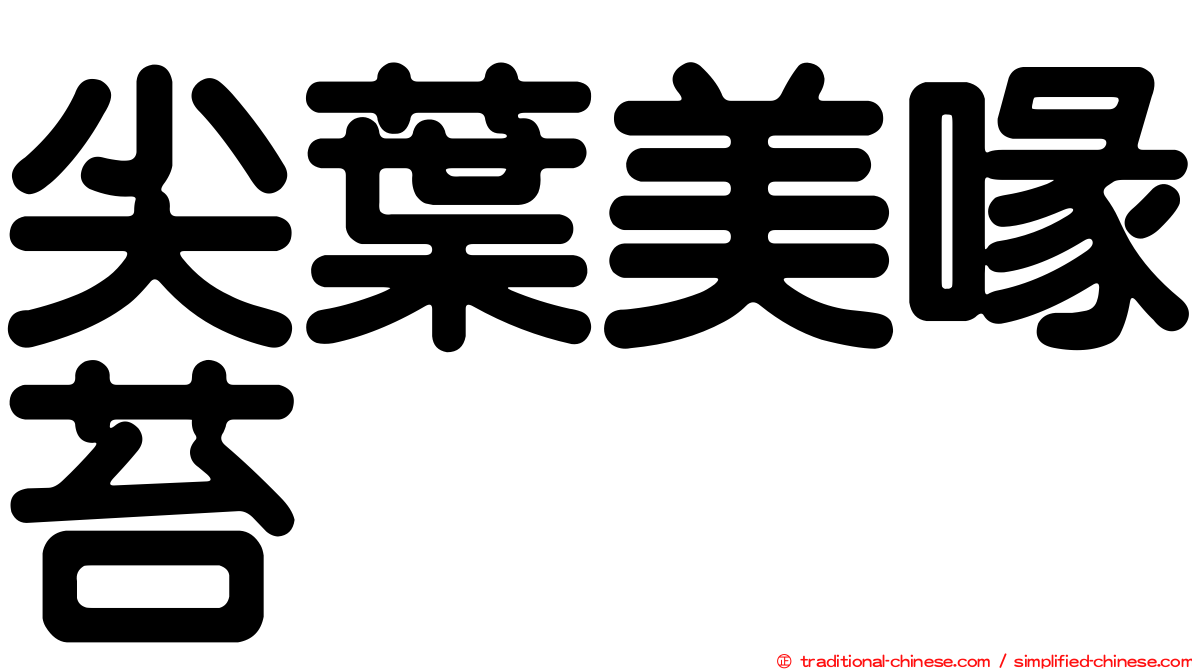 尖葉美喙苔