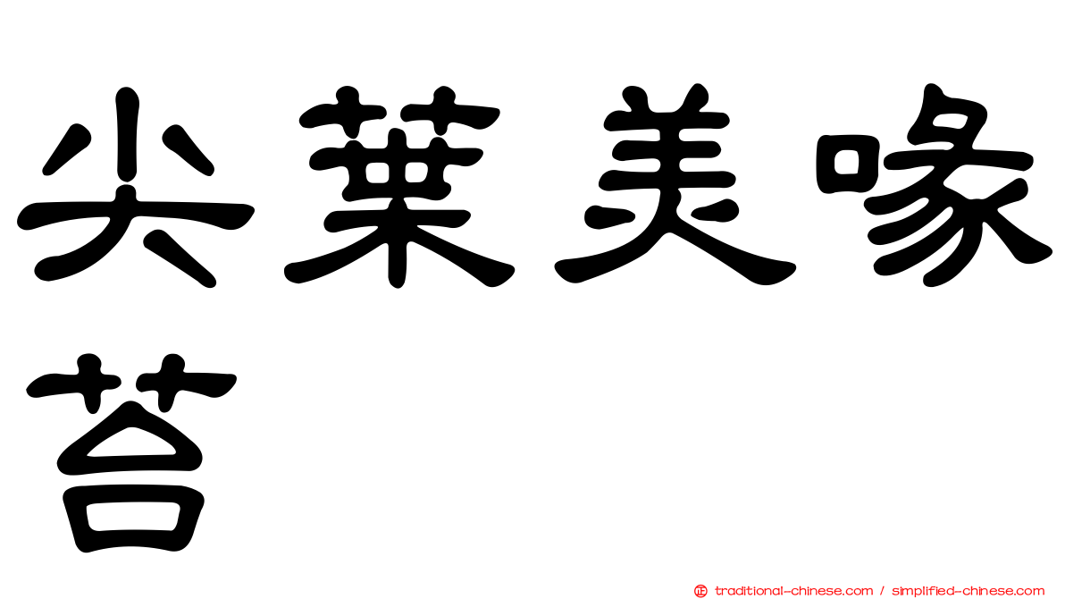 尖葉美喙苔
