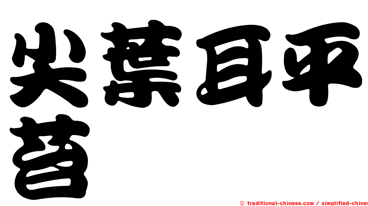 尖葉耳平苔