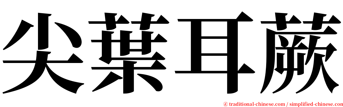 尖葉耳蕨 serif font