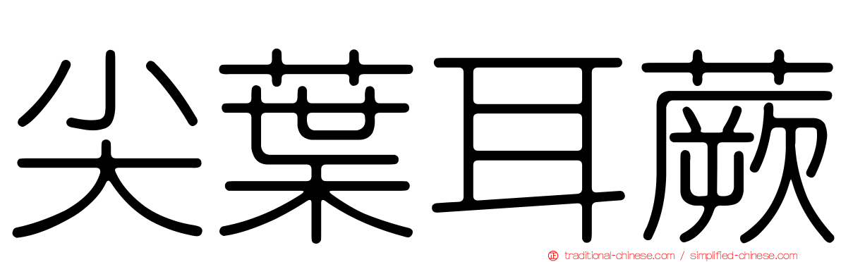 尖葉耳蕨