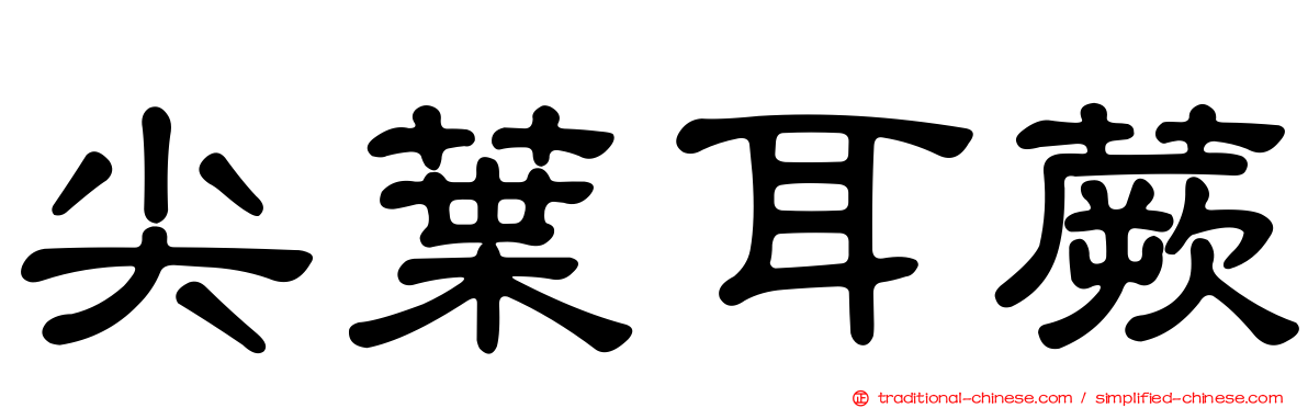 尖葉耳蕨