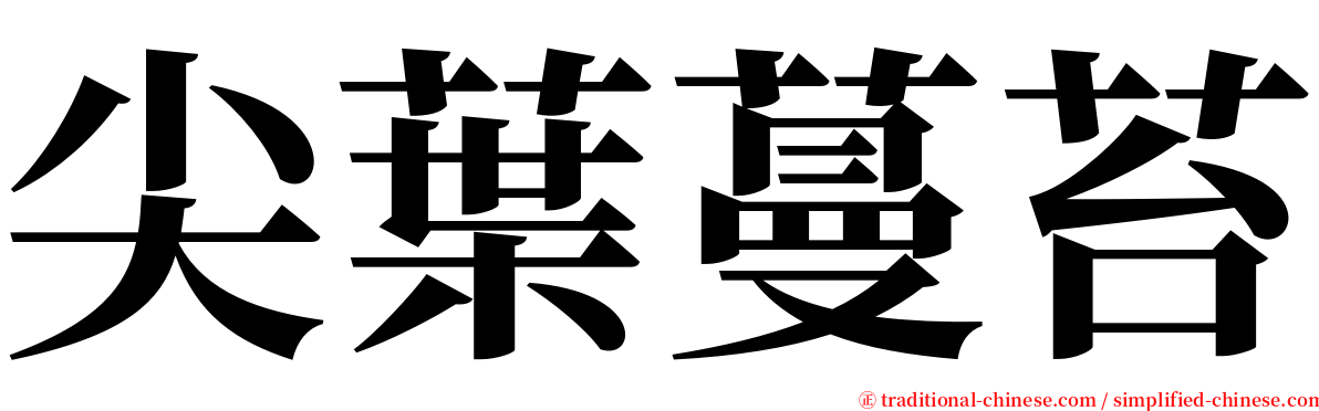 尖葉蔓苔 serif font