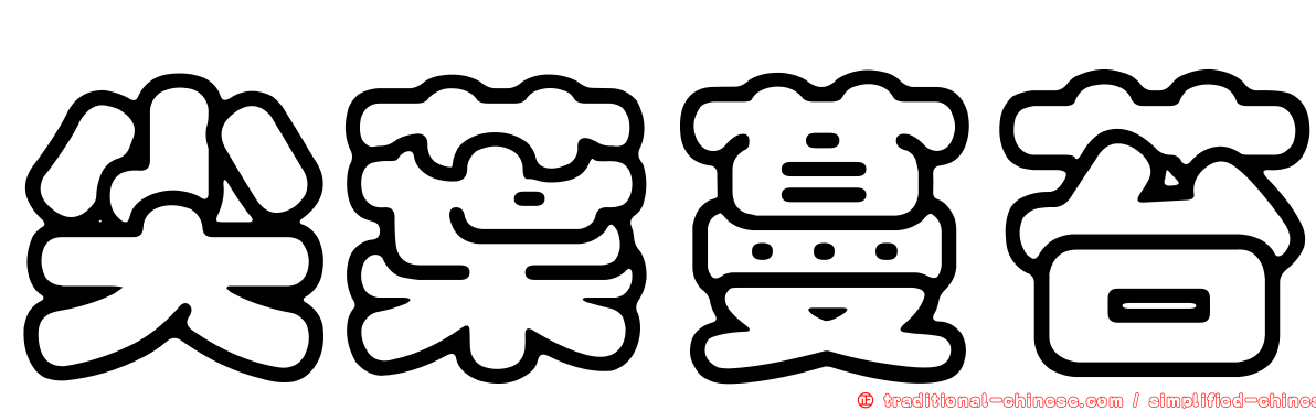 尖葉蔓苔