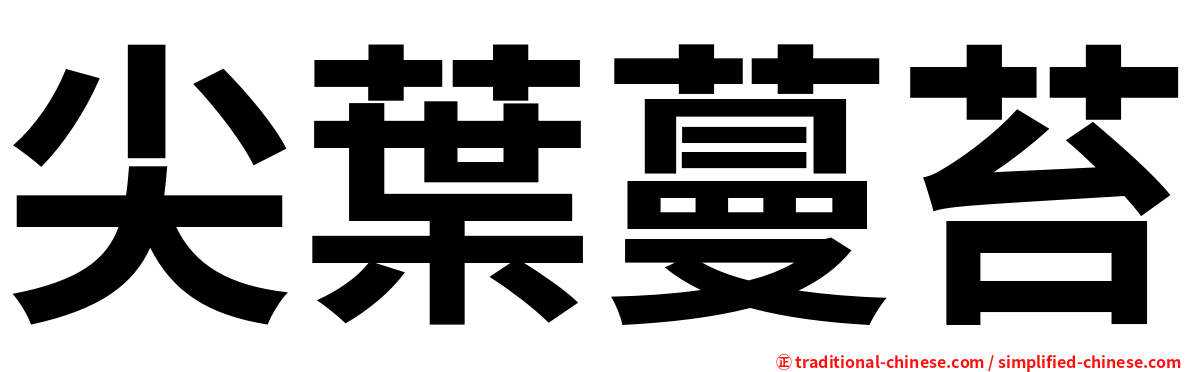 尖葉蔓苔