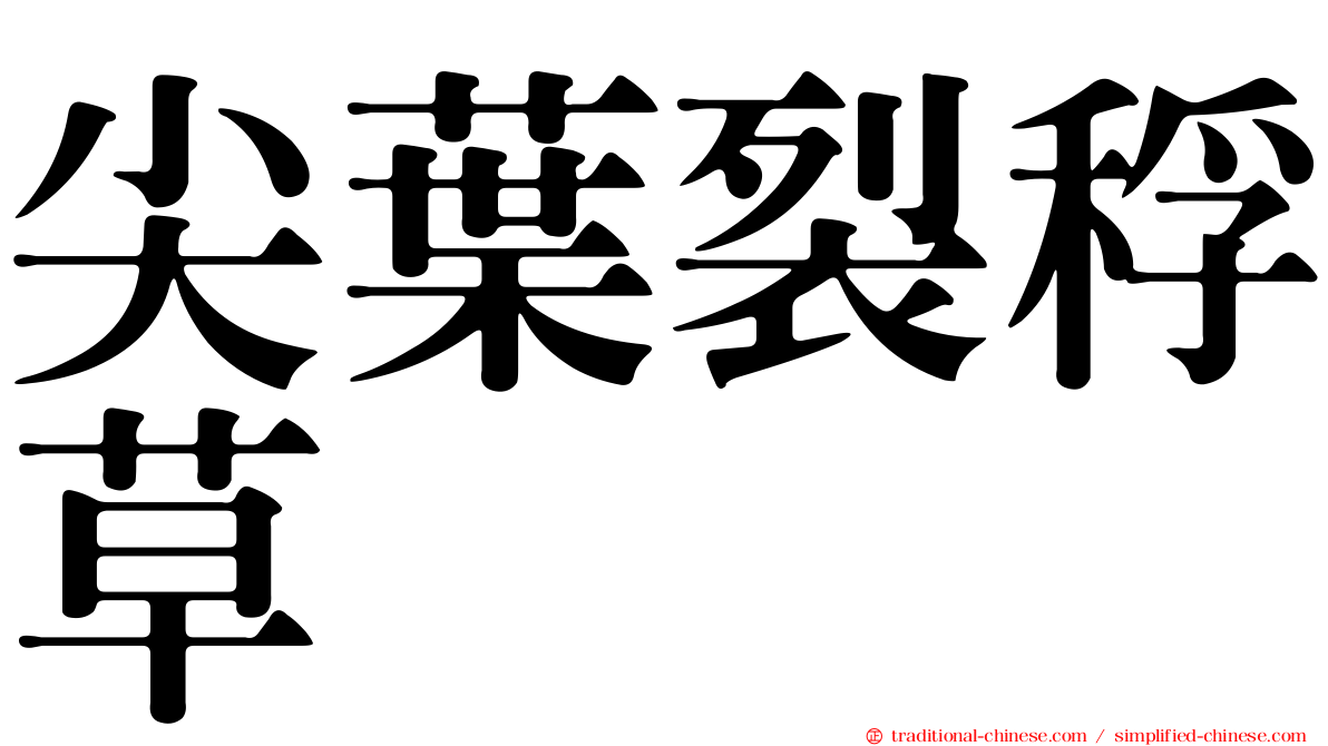 尖葉裂稃草