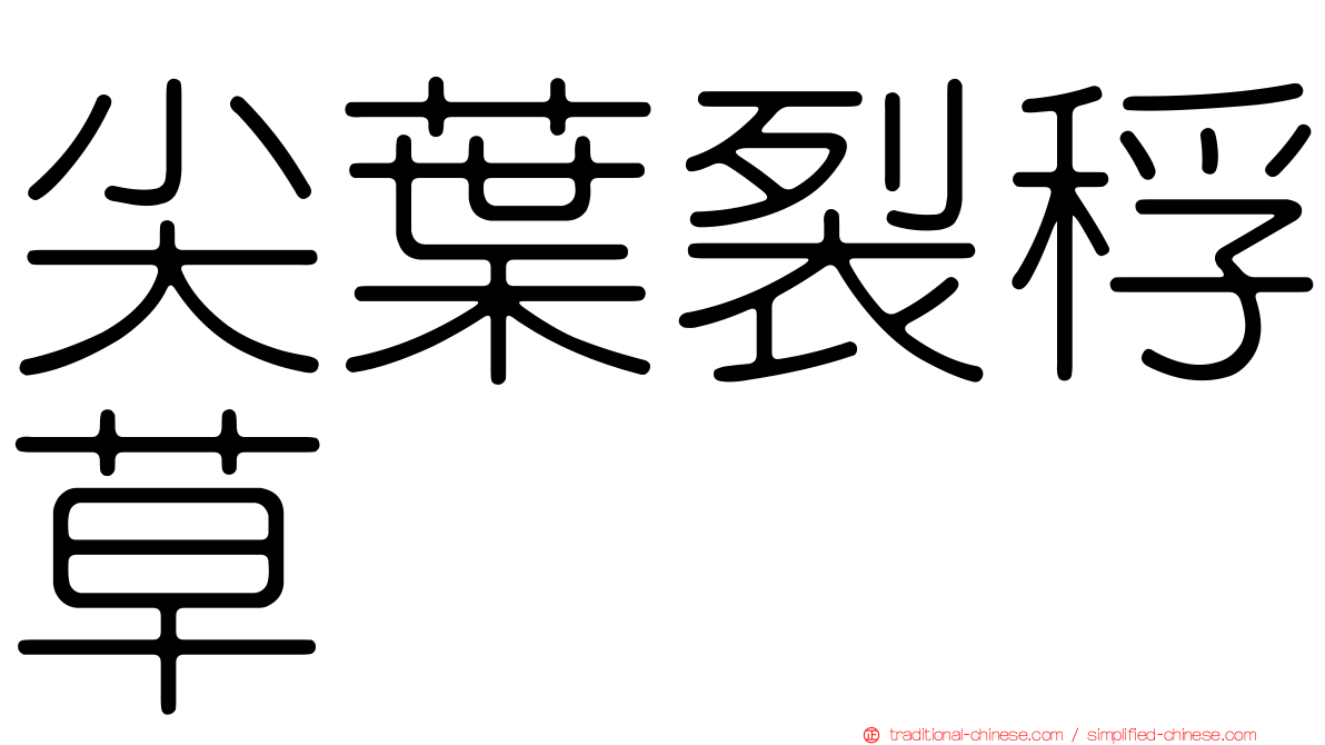 尖葉裂稃草