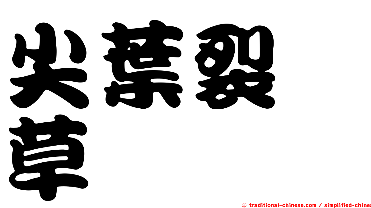尖葉裂稃草