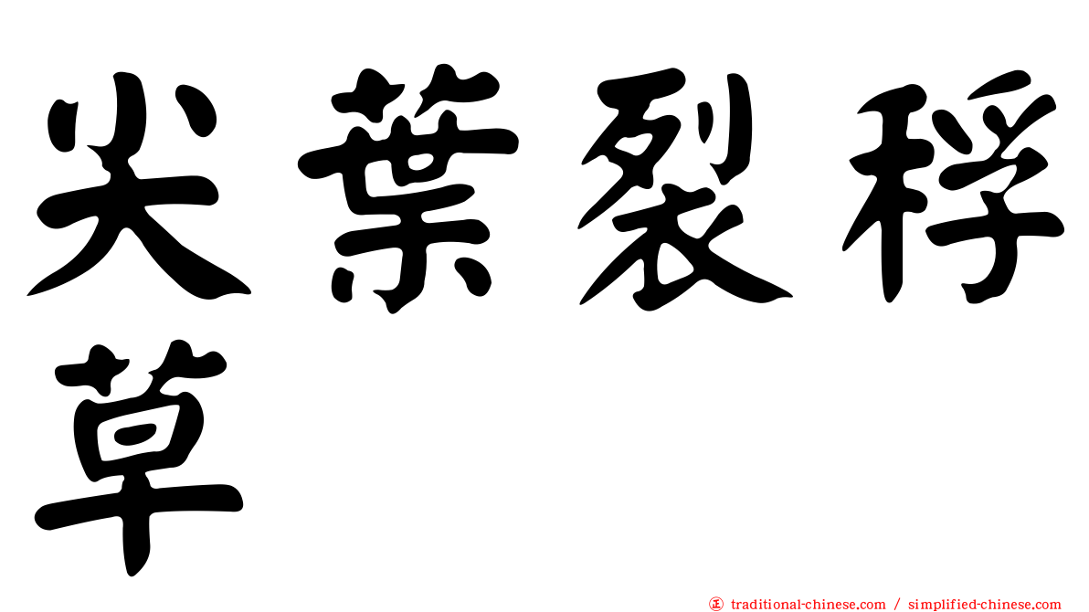 尖葉裂稃草