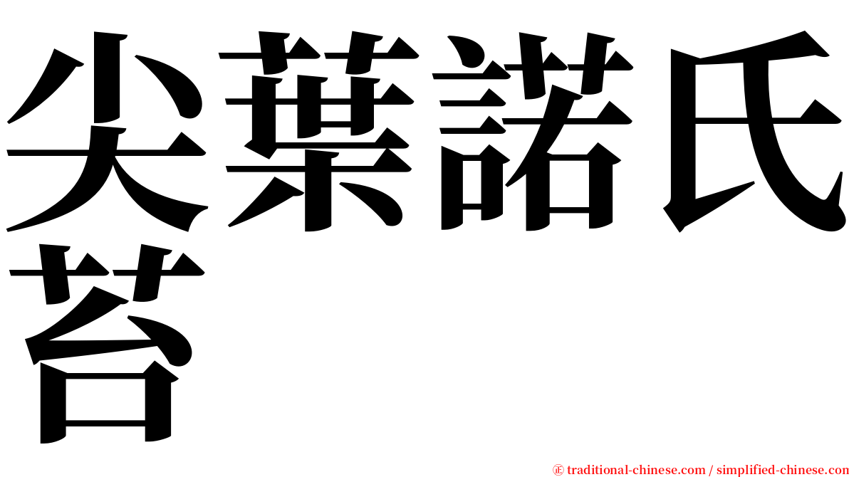 尖葉諾氏苔 serif font