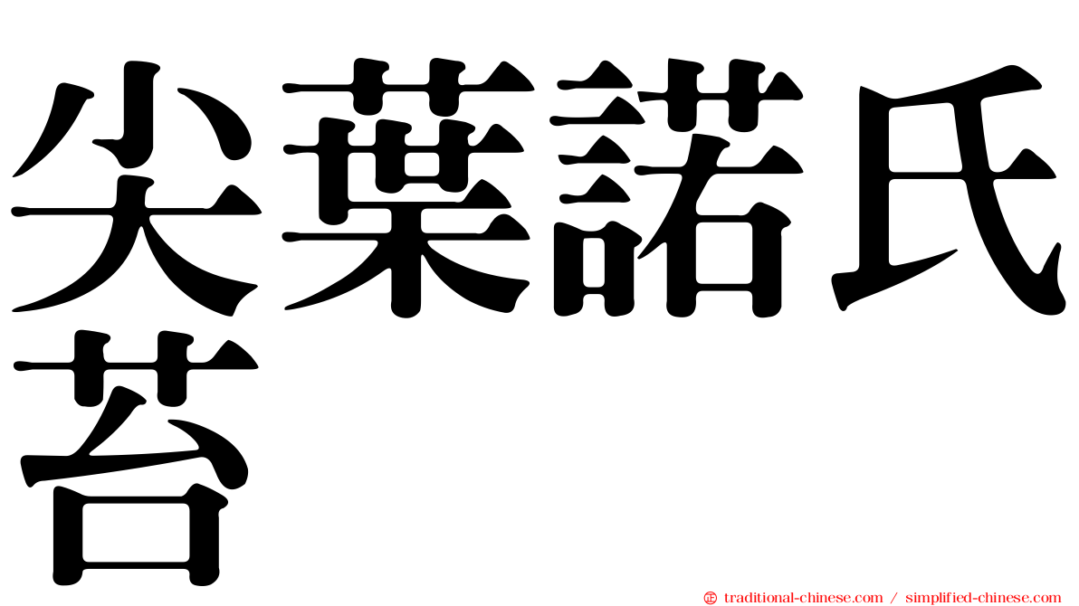 尖葉諾氏苔
