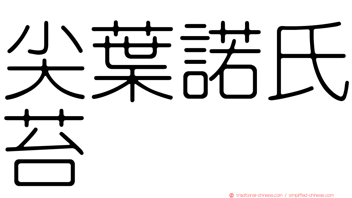 尖葉諾氏苔