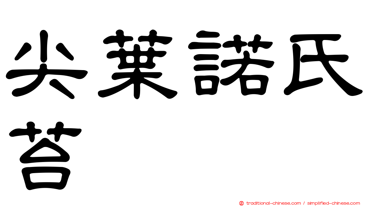 尖葉諾氏苔