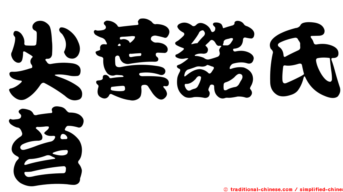 尖葉諾氏苔