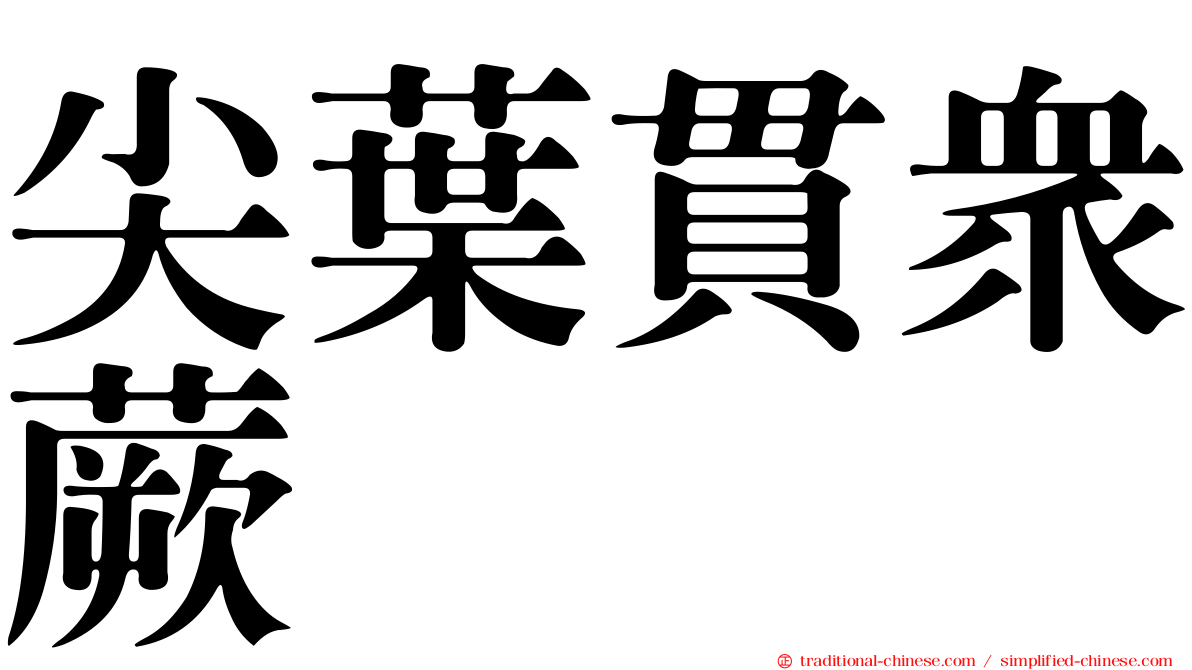 尖葉貫眾蕨