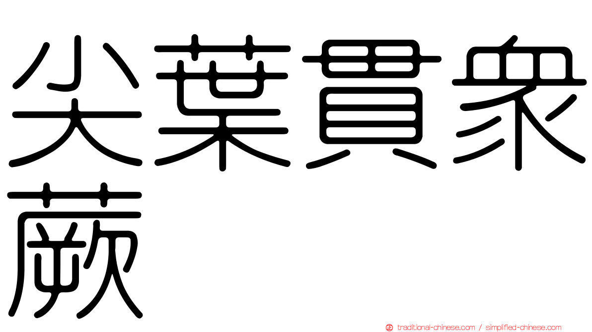 尖葉貫眾蕨