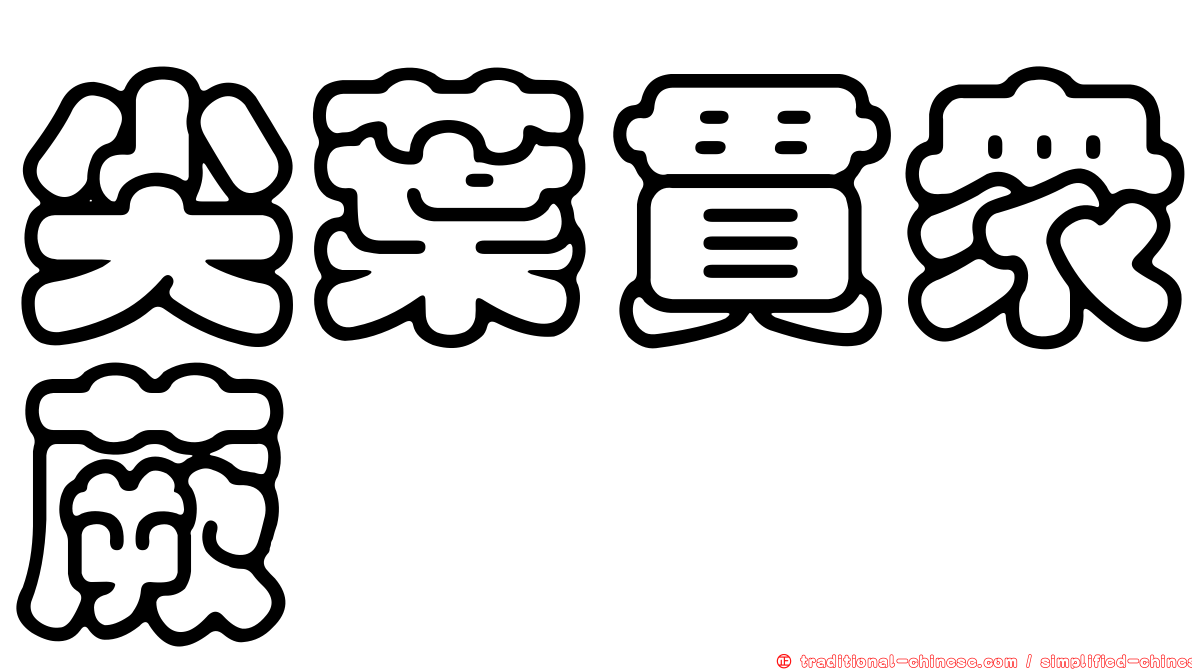 尖葉貫眾蕨