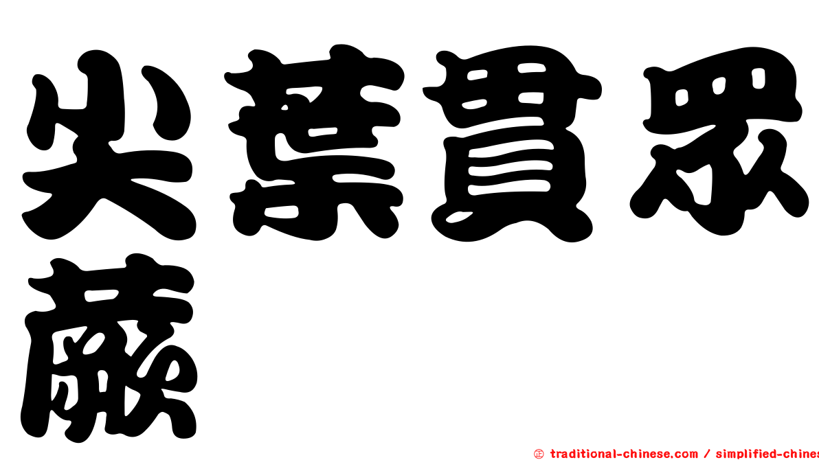 尖葉貫眾蕨