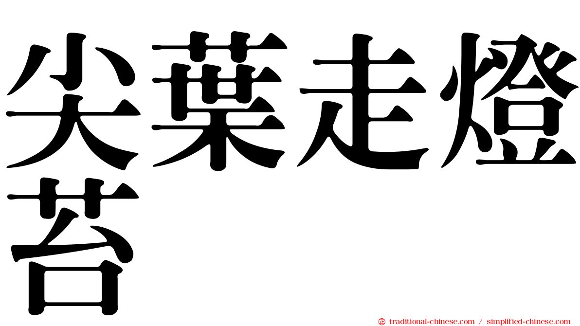 尖葉走燈苔