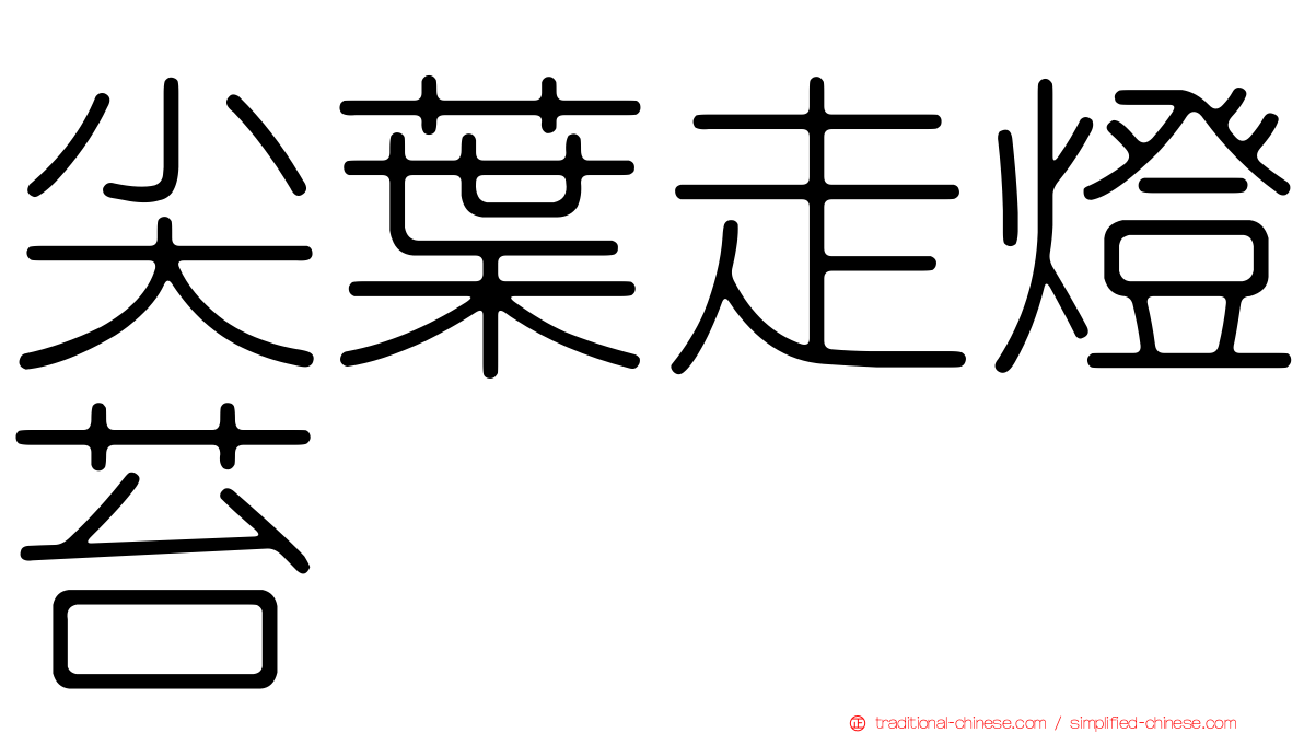 尖葉走燈苔