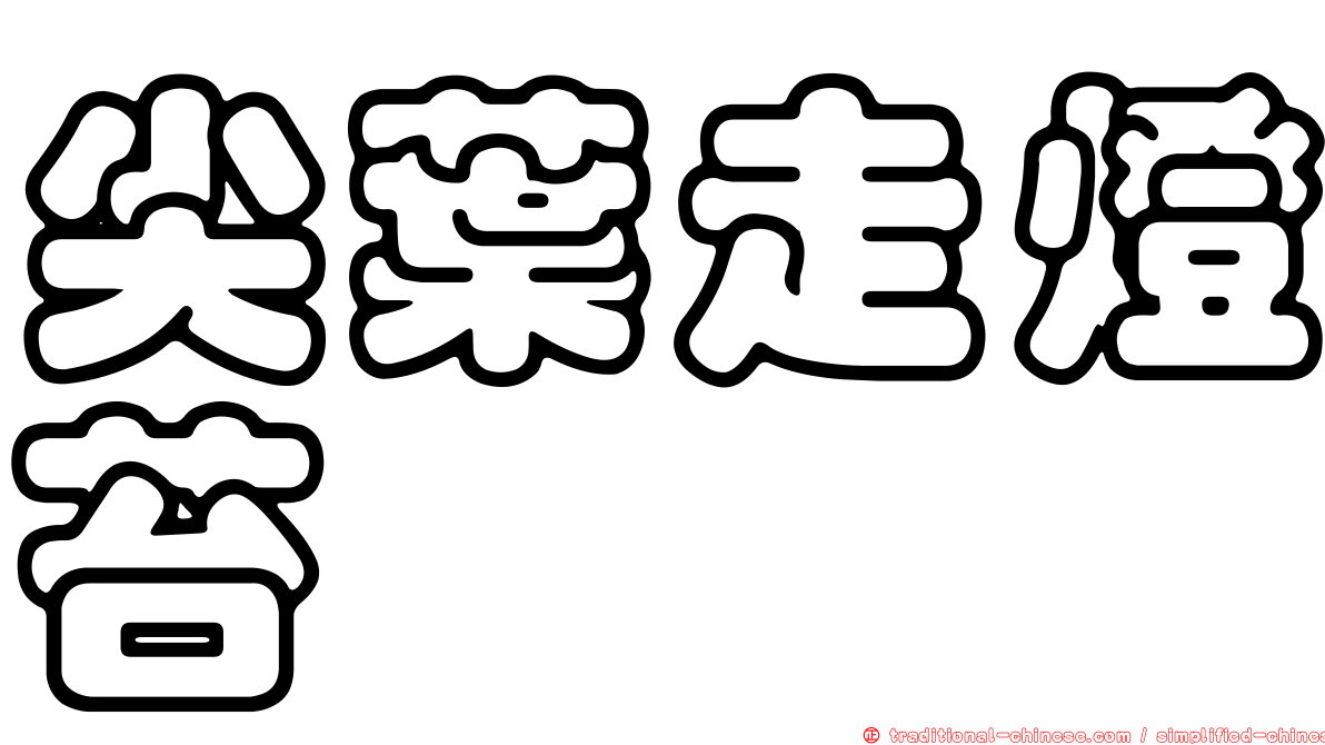 尖葉走燈苔