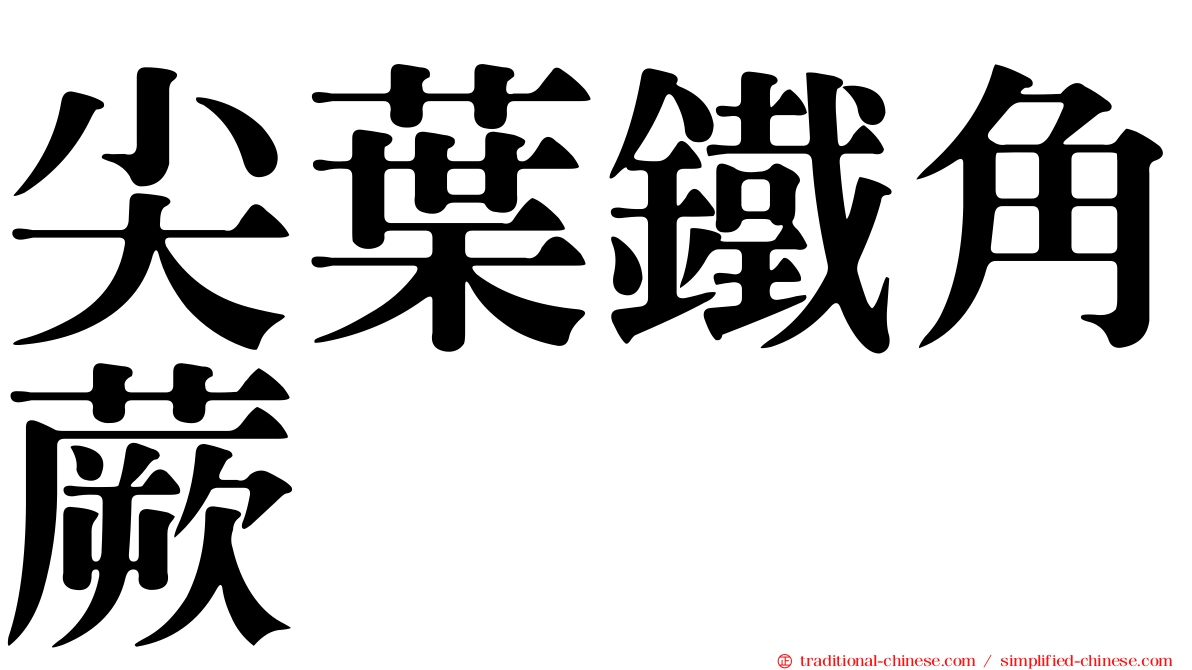 尖葉鐵角蕨