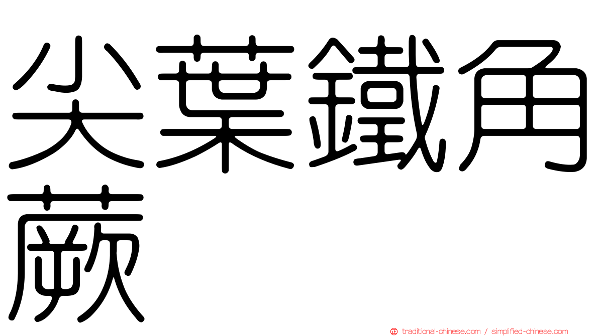尖葉鐵角蕨