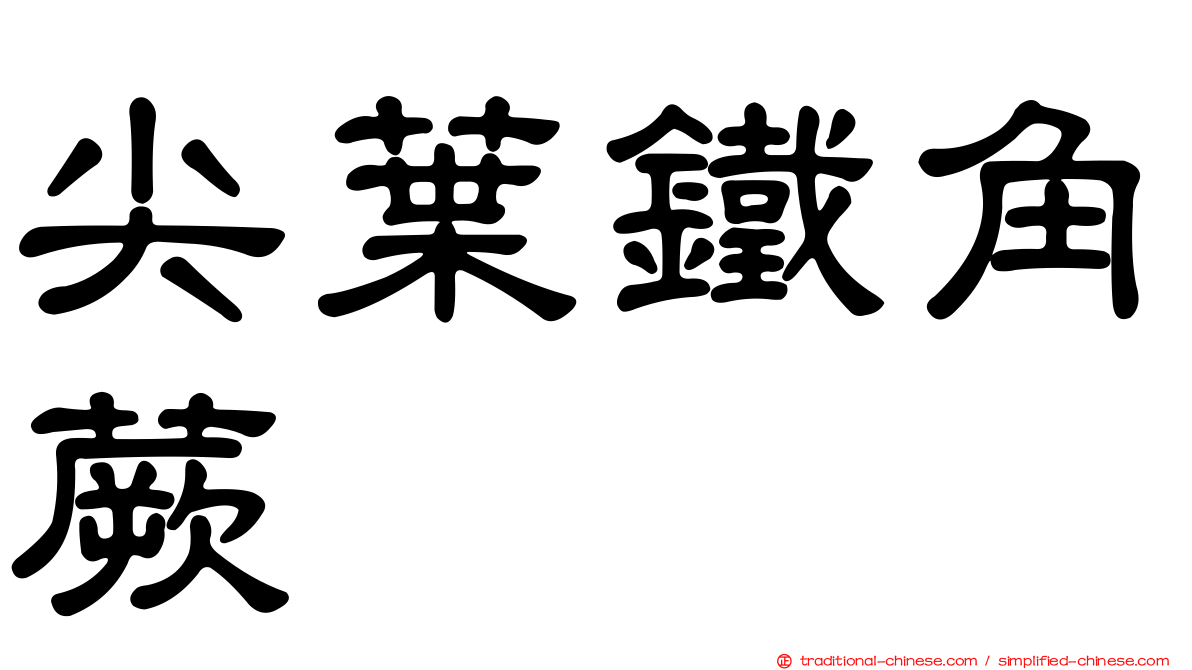 尖葉鐵角蕨