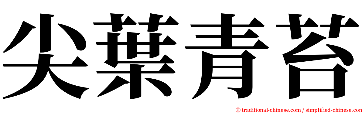 尖葉青苔 serif font