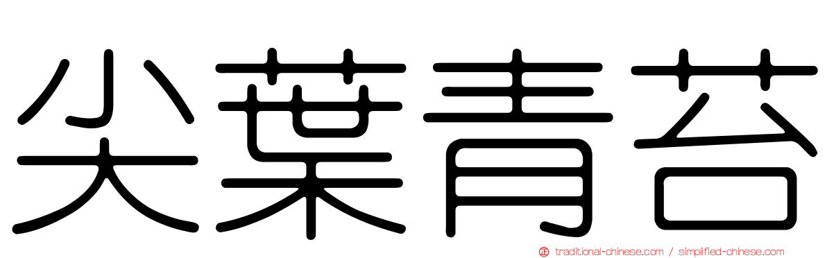 尖葉青苔