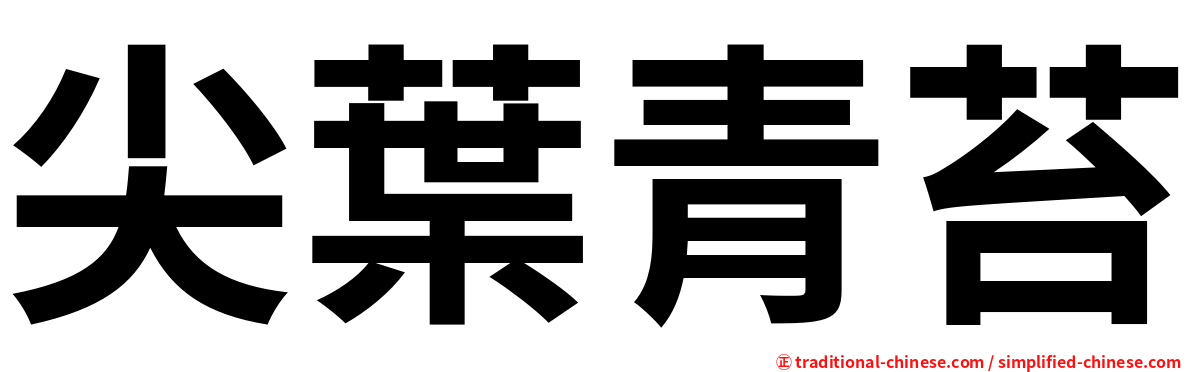 尖葉青苔