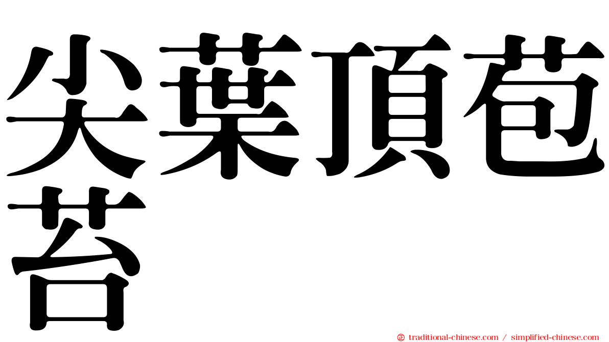 尖葉頂苞苔