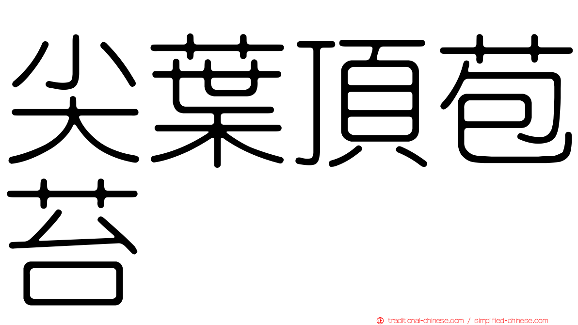 尖葉頂苞苔