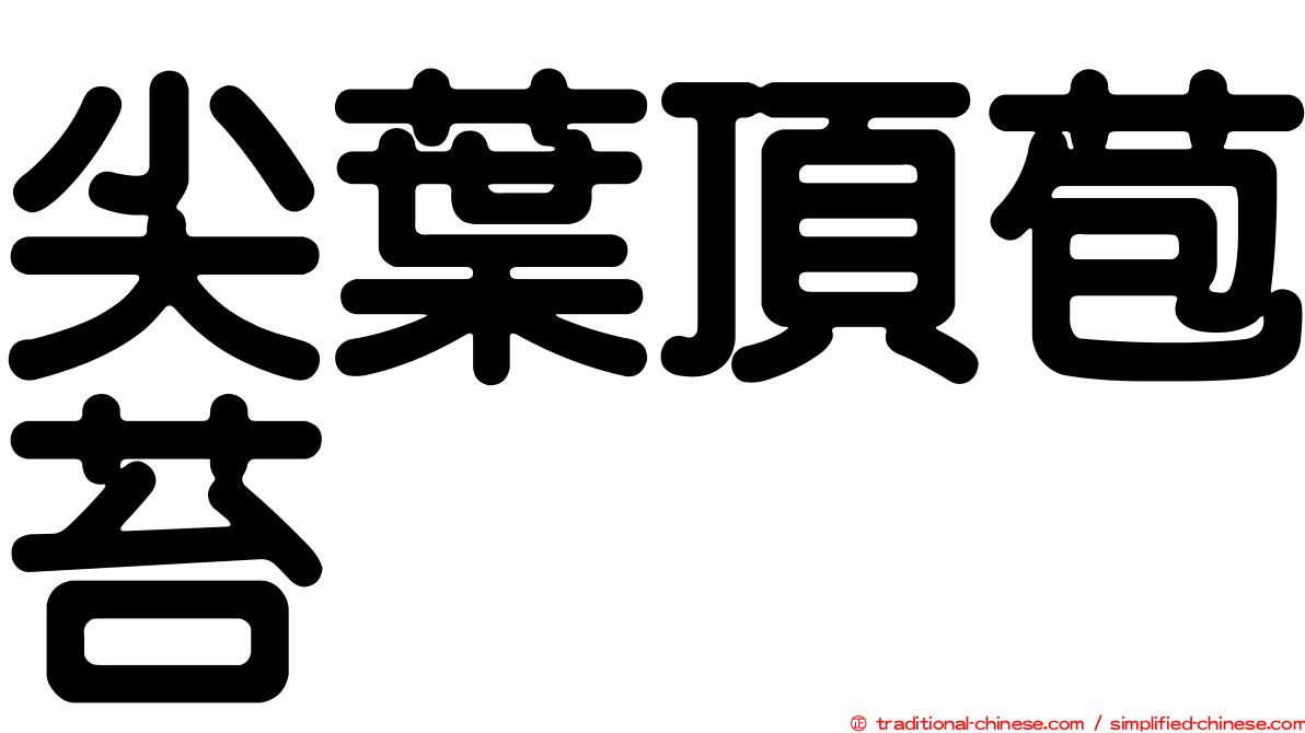 尖葉頂苞苔