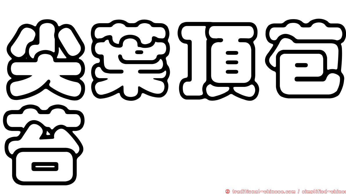 尖葉頂苞苔