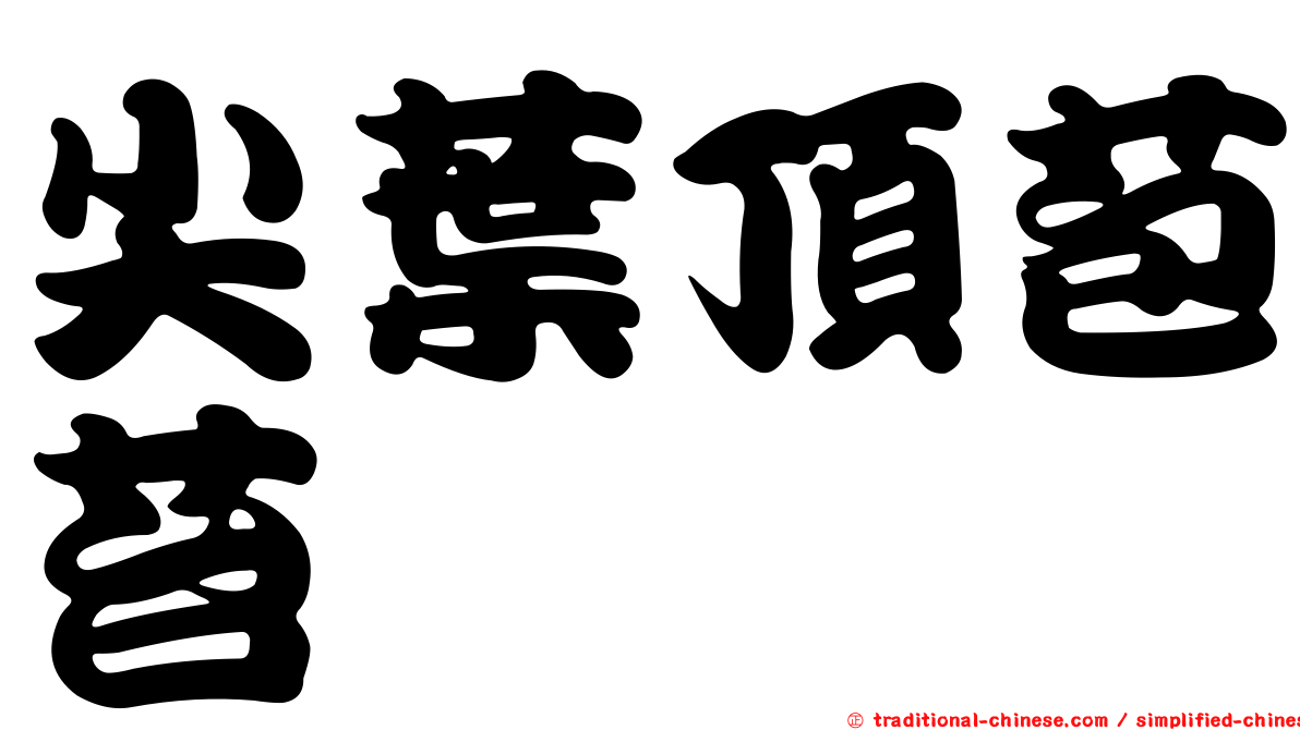 尖葉頂苞苔