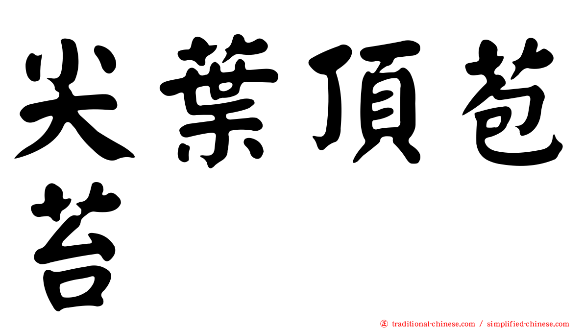 尖葉頂苞苔