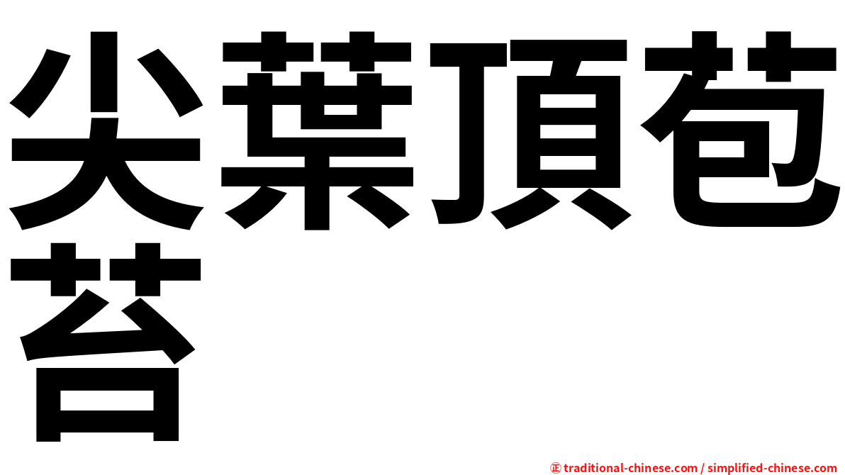 尖葉頂苞苔