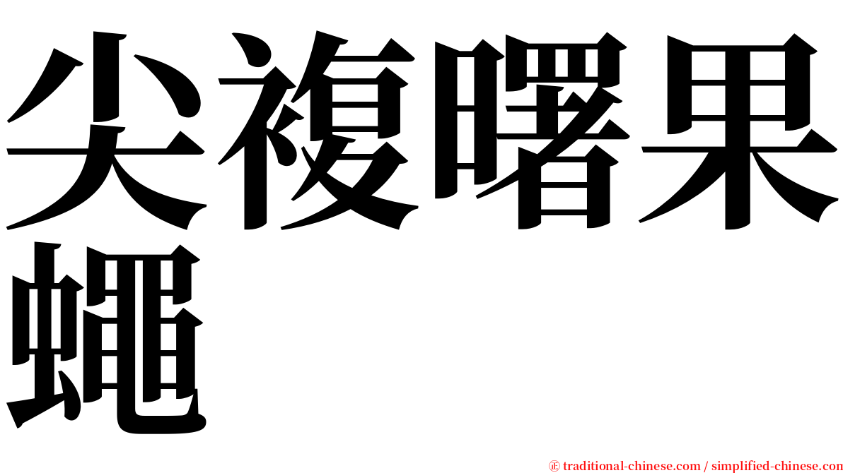 尖複曙果蠅 serif font