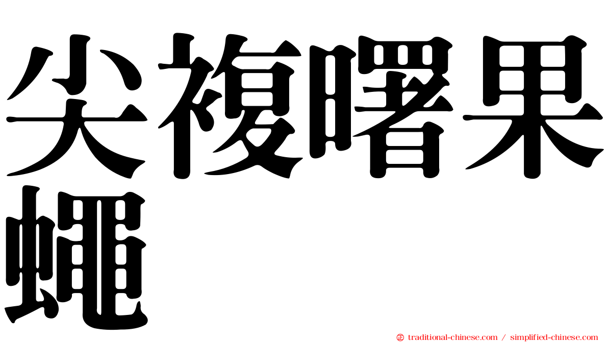 尖複曙果蠅
