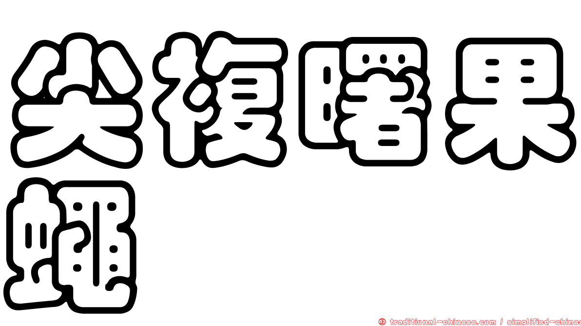 尖複曙果蠅