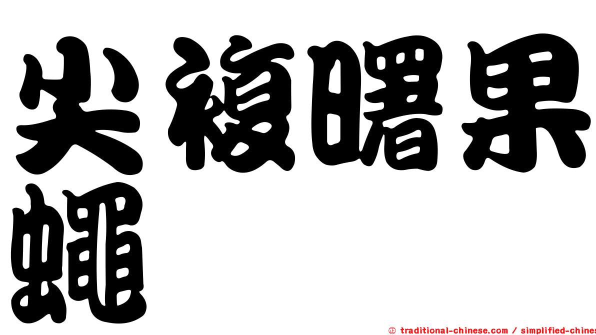 尖複曙果蠅